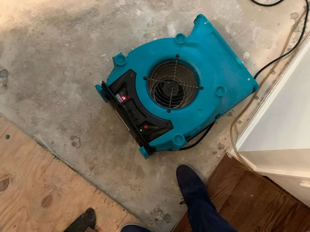 Air mover drying subfloor during Leak Detection & Repair in Anderson